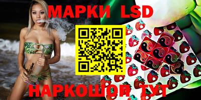 прущие крисы Моздок