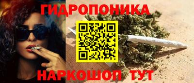 прущие крисы Моздок